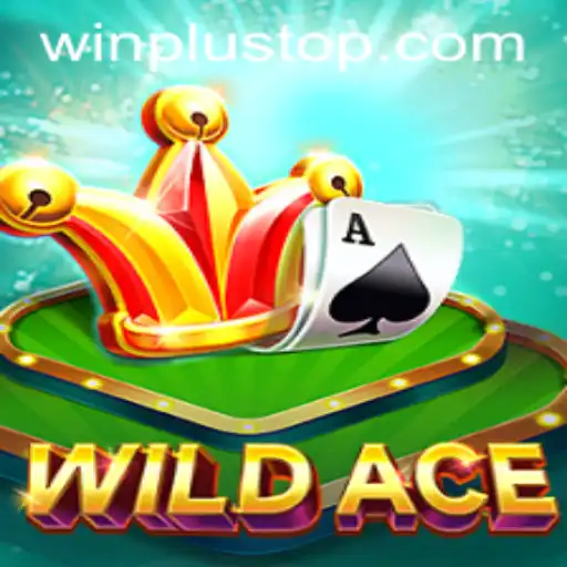 Explore the Thrills of WildAce: An In-Depth Guide